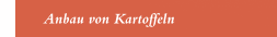 Anbau von Kartoffeln