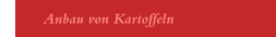 Anbau von Kartoffeln