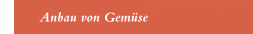 Anbau von Gemüse