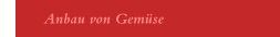 Anbau von Gemüse