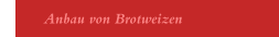 Anbau von Brotweizen