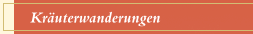 Kräuterwanderungen